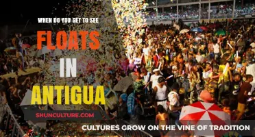 Antigua's Vibrant Carnival Floats: When and Where to Catch Them