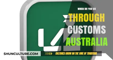 Navigating Australian Customs: When and How to Clear Upon Arrival