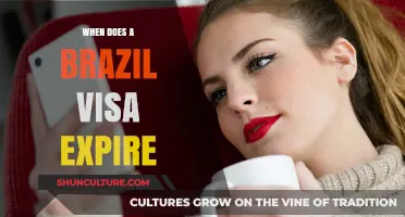 Brazil Visa Expiry: Understanding Validity and Renewal Requirements