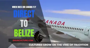 Air Canada's Direct Belize Flights