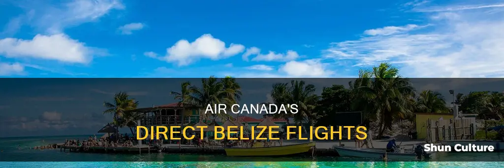 when does air canada fly direct to belize