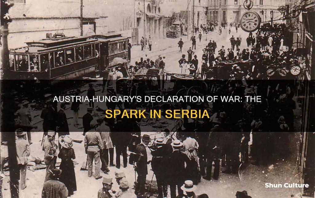 when does austria hungary declare war in sebia ww1