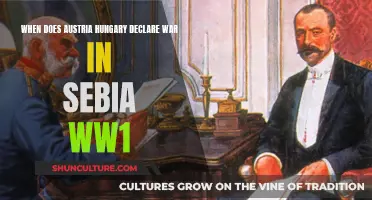 Austria-Hungary's Fateful Decision to Declare War on Serbia