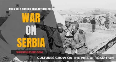 Austria-Hungary's Fateful Declaration of War on Serbia