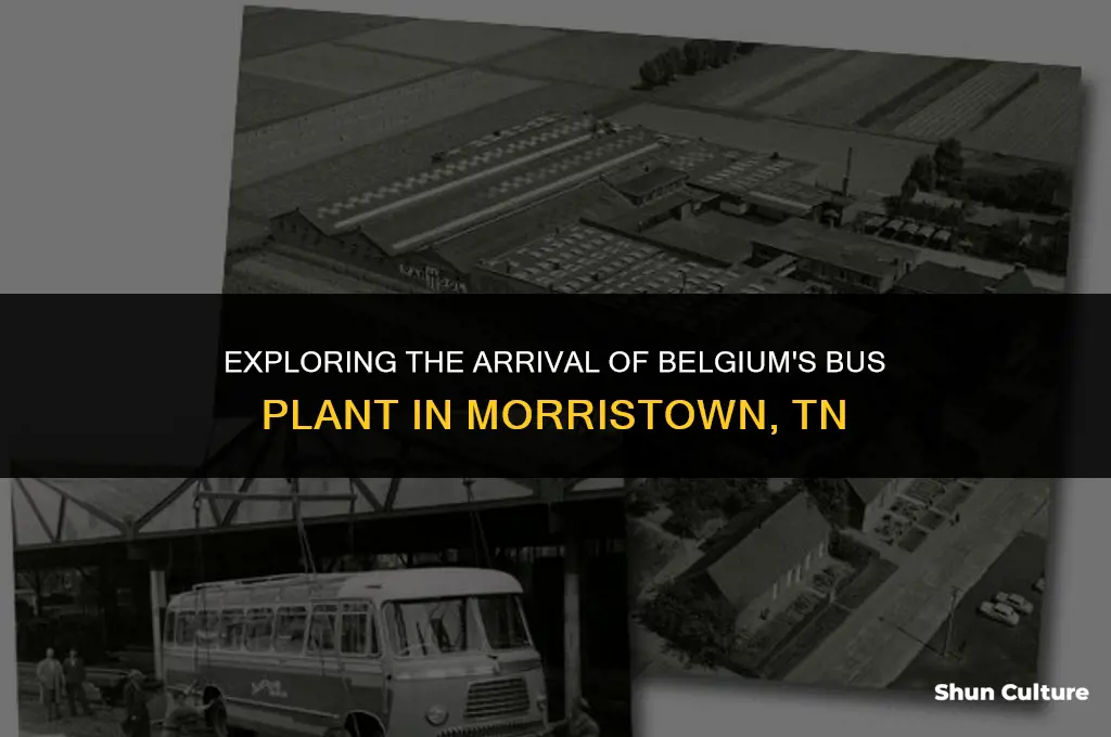 when does belgium bus plant in morristown tn