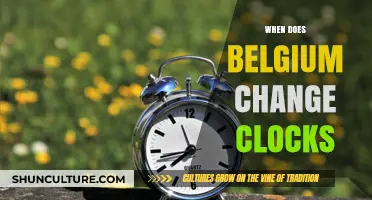 Spring Forward, Fall Back: Belgium's Clock Change Schedule