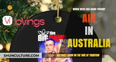 Big Bang Theory: Australian Airing Schedule Explored