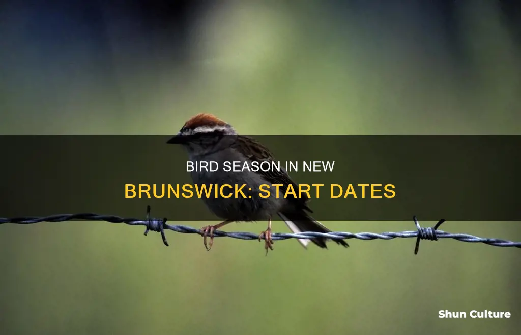 when does bird season start in new brunswick