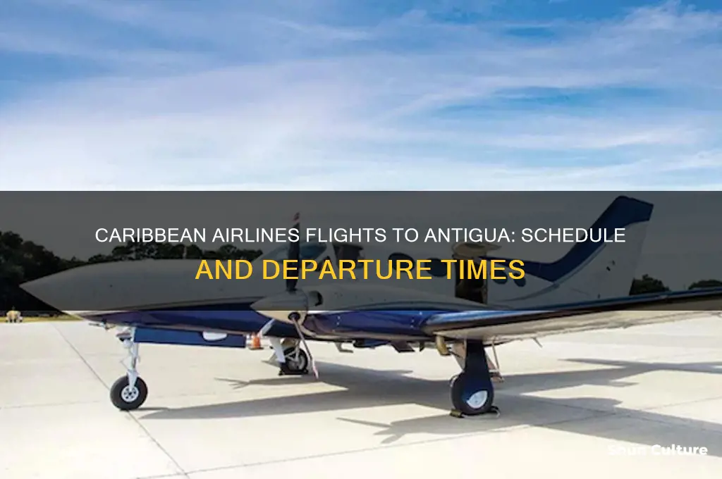 when does caribbean airlines fly to antigua