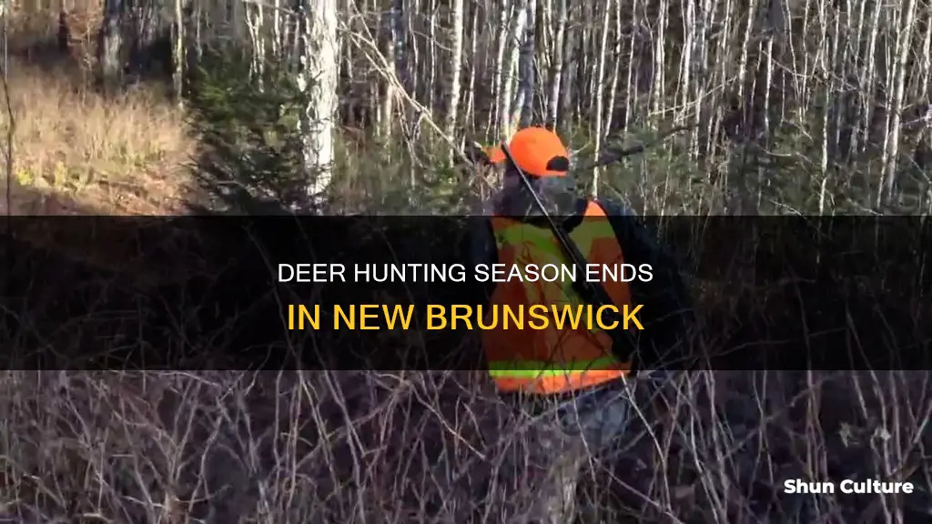 when does deer hunting season end in new brunswick