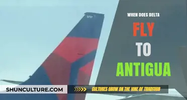 Delta Airlines Antigua Flights: Schedule, Routes, and Booking Tips