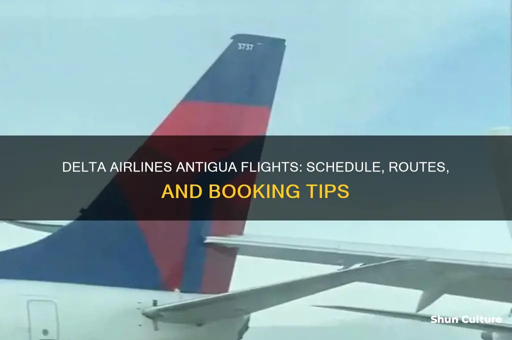 when does delta fly to antigua