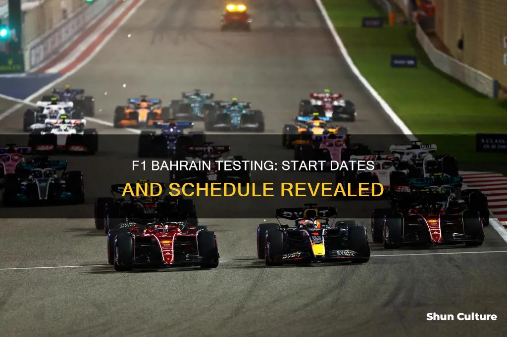 when does f1 bahrain testing start