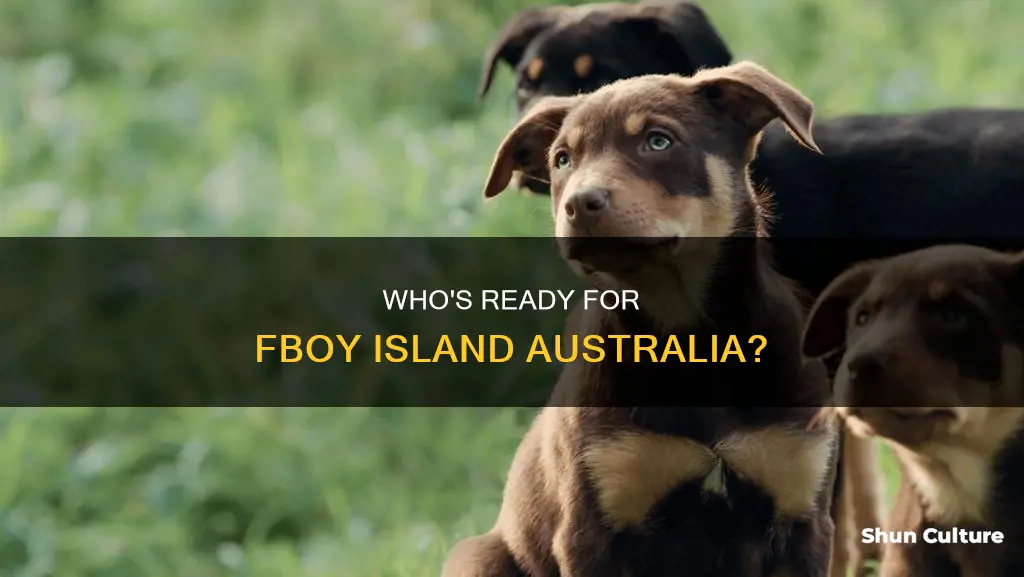 when does fboy island australia air