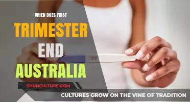 First Trimester End in Australia: Key Milestones and Timeline
