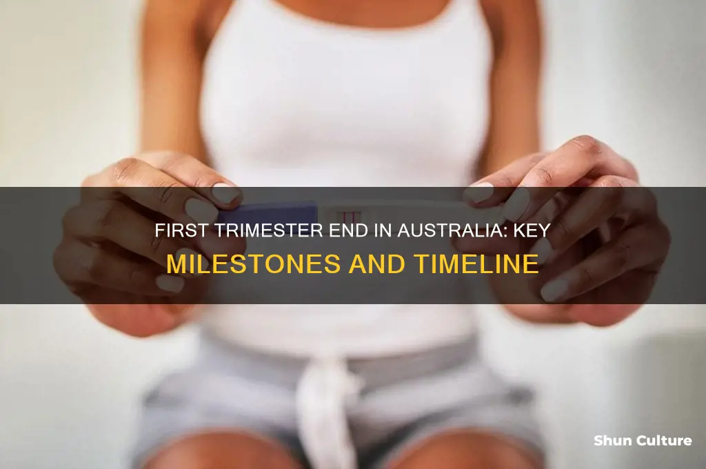 when does first trimester end australia