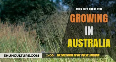 Grass Growth Patterns in Australia: Seasonal Insights