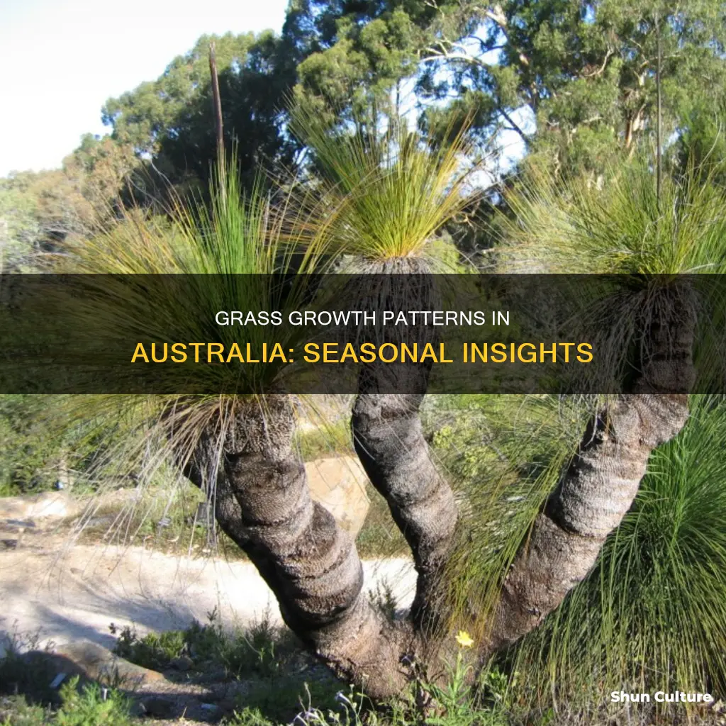 when does grass stop growing in australia