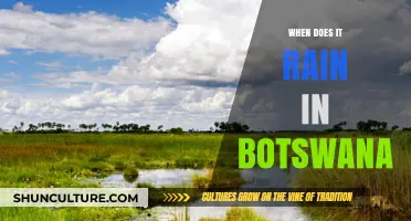 Exploring Botswana's Rainy Season: When and Why It Rains in the Desert