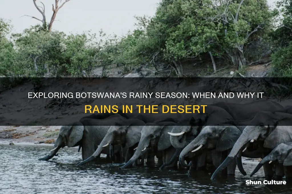 when does it rain in botswana