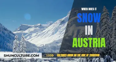 Winter Wonder: Snowfall in Austria