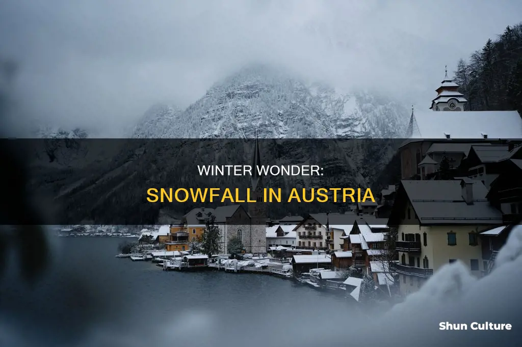 when does it snow in austria