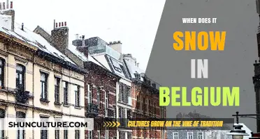Winter's Touch: A Guide to Snowfall in Belgium
