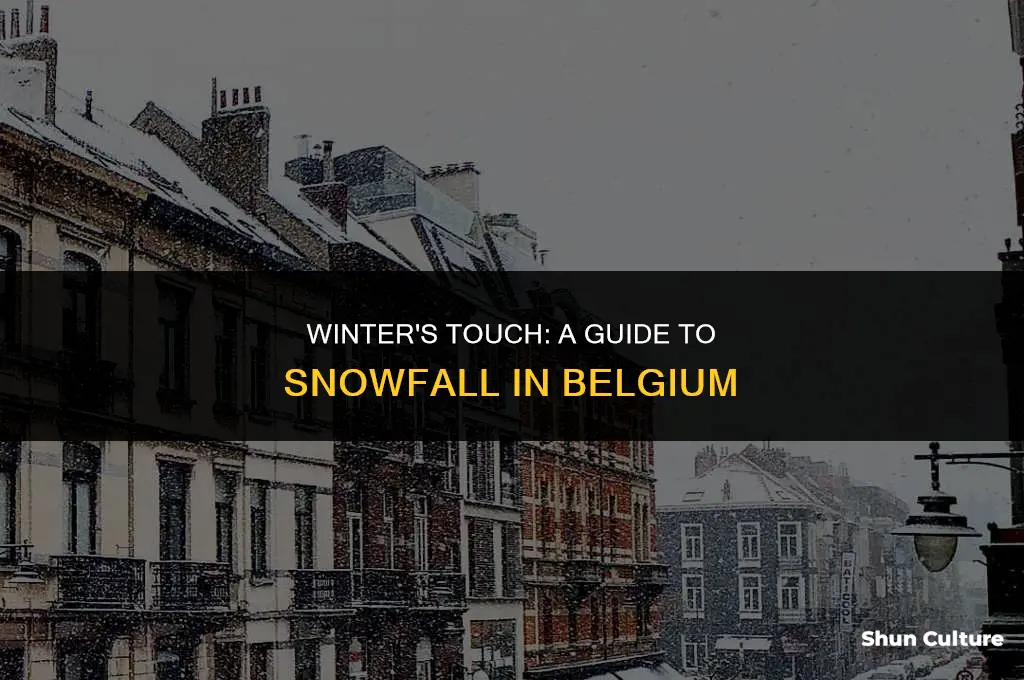 when does it snow in belgium