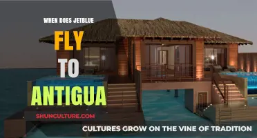 JetBlue's Antigua Flights: Schedule, Routes, and Travel Tips Revealed
