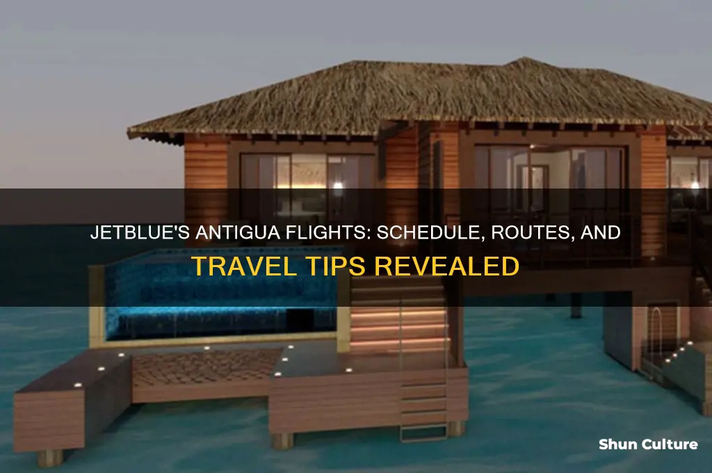 when does jetblue fly to antigua