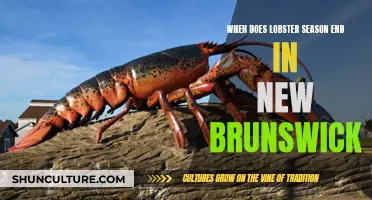 Lobster Season Ends in New Brunswick