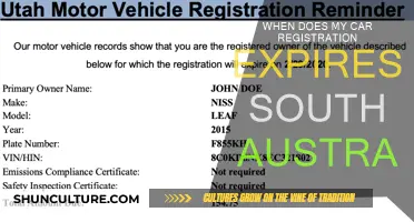 Car Registration Expiry: South Australia's Guide