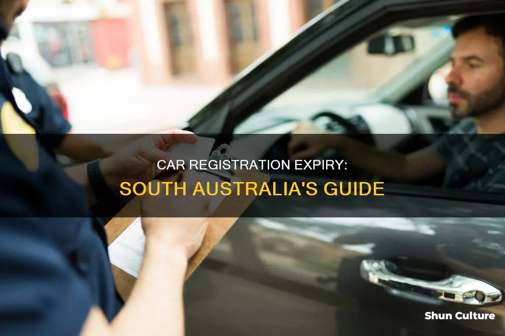 when does my car registration expires south australia
