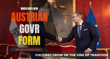 Austria's New Government: Formation and Future Plans