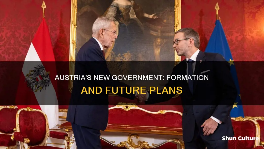 when does new austrian govr form