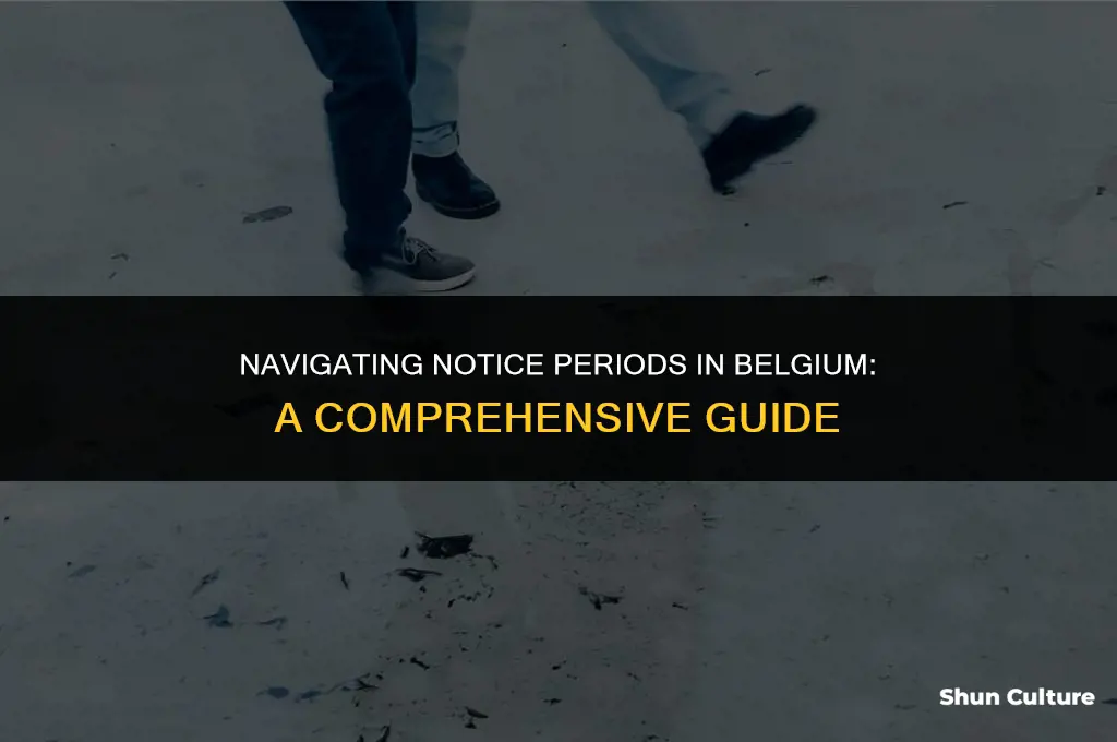 when does notice period start in belgium