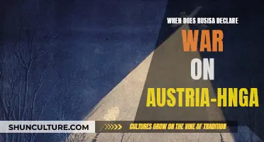 Russia's War Declaration: Austria-Hungary's Fateful Hour