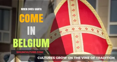Santa's Arrival in Belgium: A Festive Timeline for the Holidays