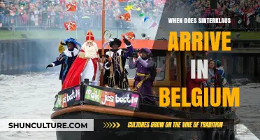 Sinterklaas' Arrival in Belgium: A Festive Countdown Begins