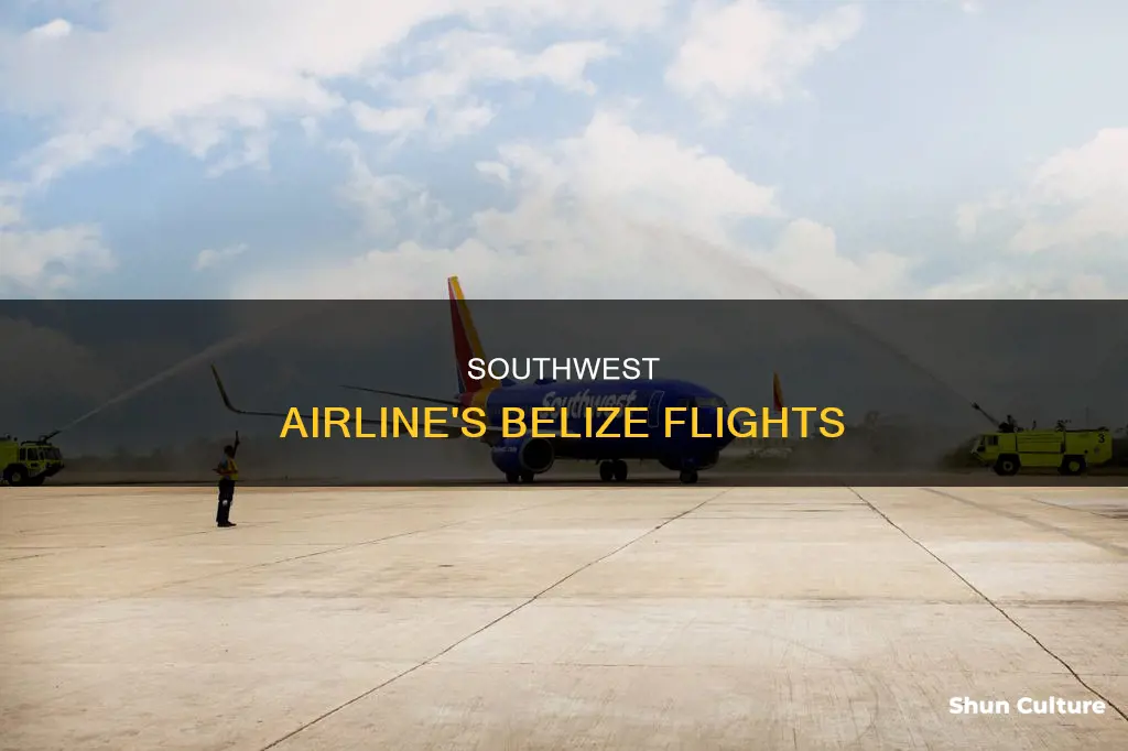 when does sourthwest airline fly to belize