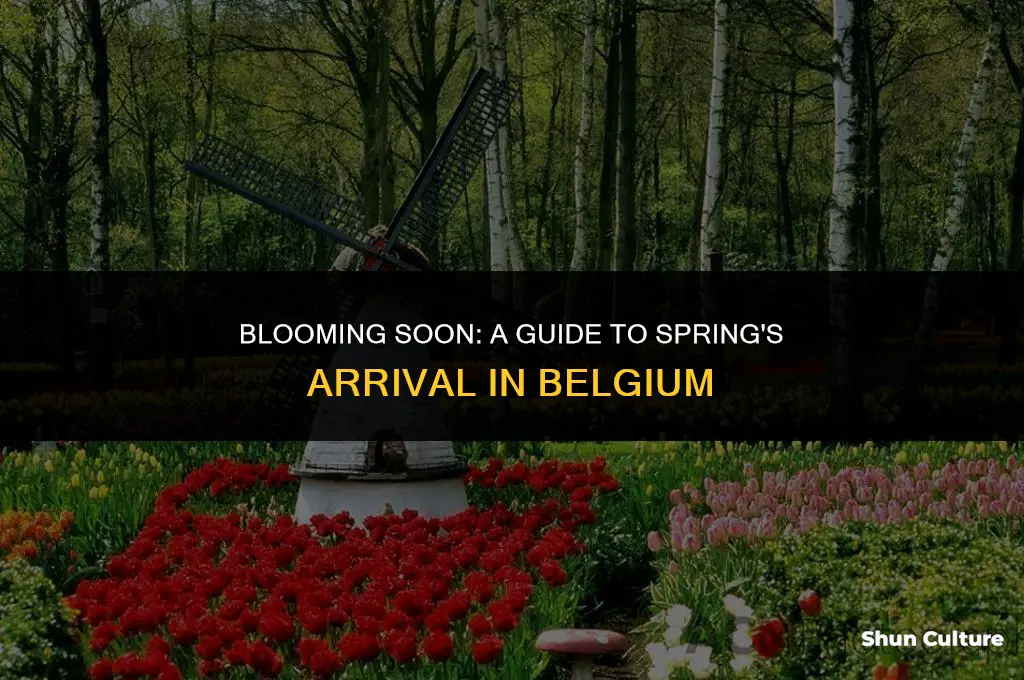 when does spring start in belgium