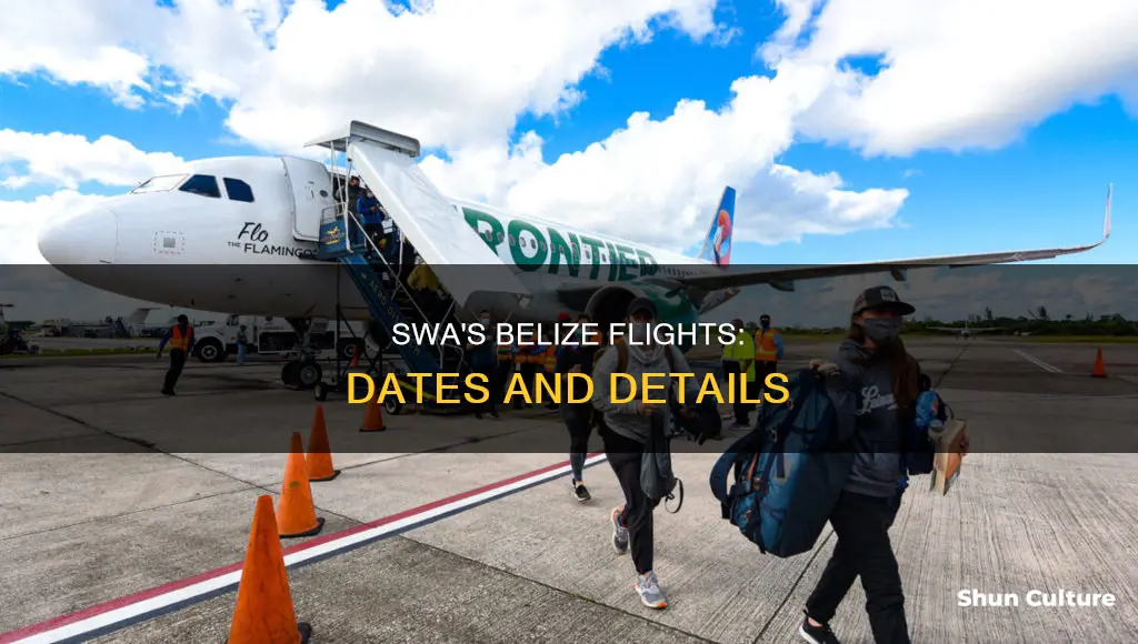 when does swa fly to belize