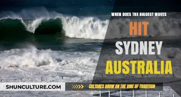 Sydney's Monster Waves: Timing the Coastal Giants' Annual Arrival