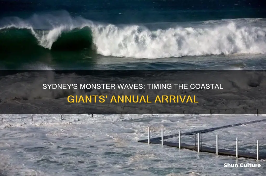 when does the biggest waves hit sydney australia