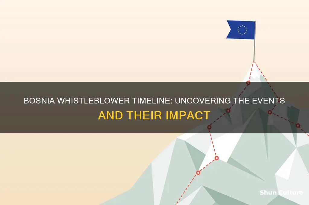 when does the bosnia whistleblower take place