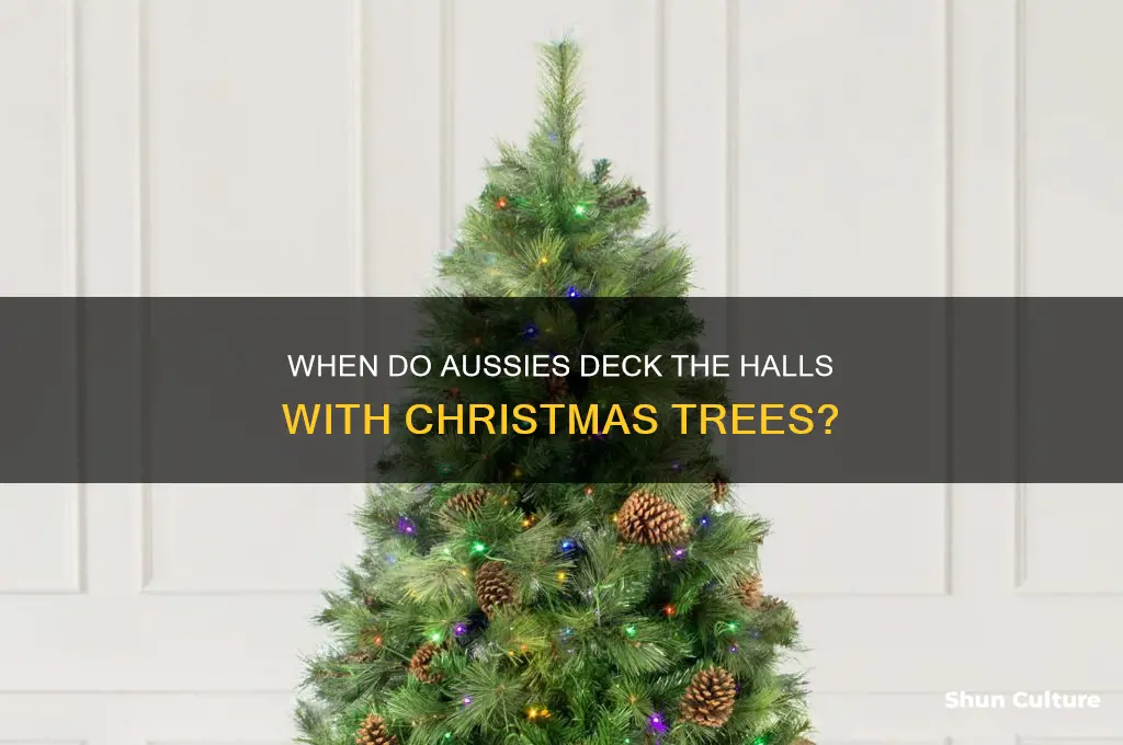 when does the christmas tree go up in australia