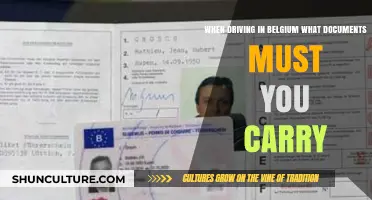 Essential Documents for Driving in Belgium: A Comprehensive Guide