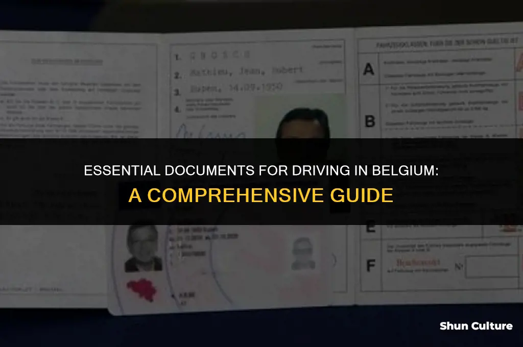when driving in belgium what documents must you carry