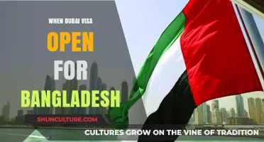Dubai Visa Update: When Will Bangladesh Nationals Be Allowed Entry?