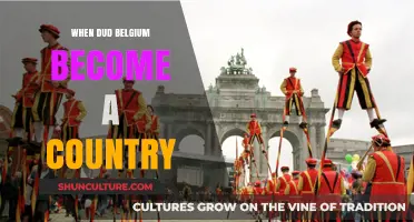 From Union to Independence: Belgium's Journey to Nationhood